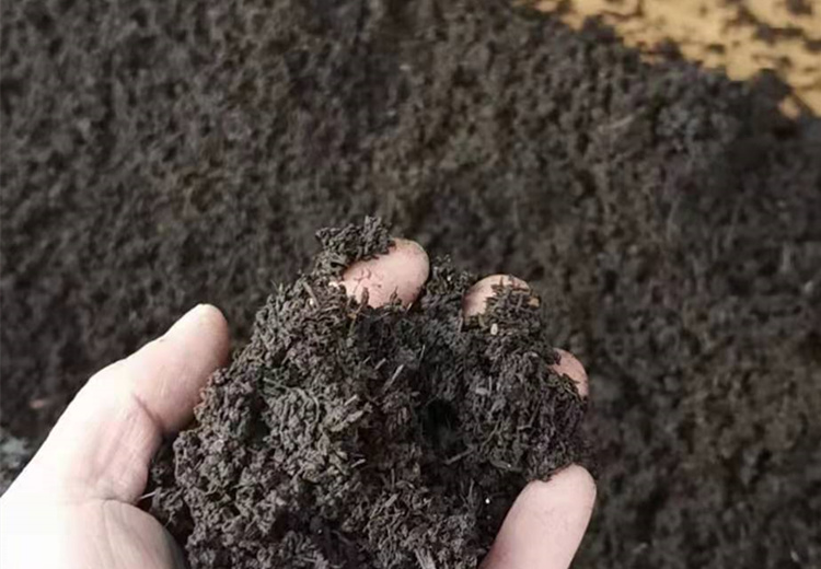 л豸