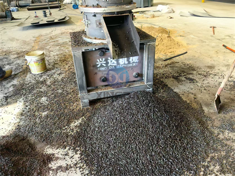 лչʾл豸Իֳ